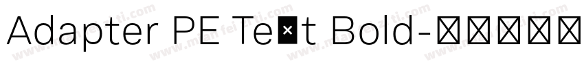 Adapter PE Text Bold字体转换